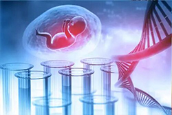 浙江胎儿亲子鉴定中心地址在哪，浙江产前亲子鉴定预约办理